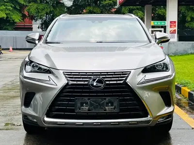 Lexus NX 2019, 75000 км, за 125800 CNY