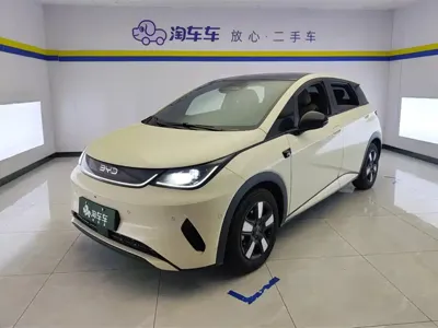 BYD Dolphin · 2025 год
