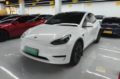 Tesla Model Y · 2024 год