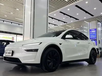 Tesla Model Y · 2025 год