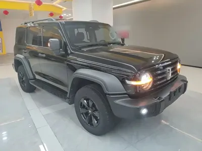 Tank Tank 300 2023, 62500 км, за 145100 CNY