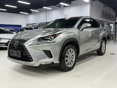 Lexus NX · 2021 год