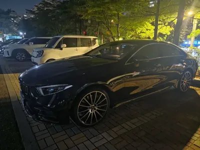 Mercedes-Benz CLS-Class · 2019 год