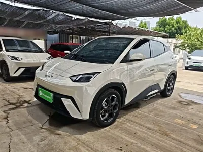 BYD Seagull · 2024 год