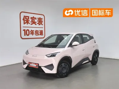 BYD Seagull · 2025 год