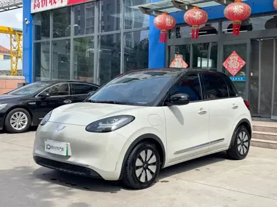 Wuling Bingo · 2023 год