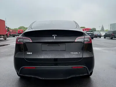 Tesla Model Y 2021, 70000 км, за 109700 CNY - фото 7