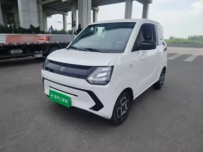 Fengguang Fengguang MINIEV · 2022 год