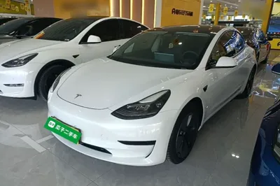 Tesla Model 3 · 2021 год