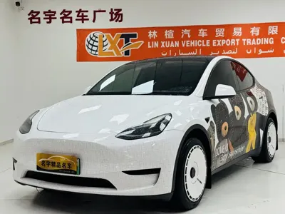 Tesla Model Y · 2023 год