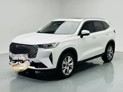 Haval H6 2021, 62000 км, за 58900 CNY - фото 1