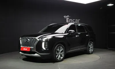 Hyundai Palisade · 2019 год