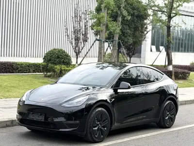 Tesla Model Y · 2023 год