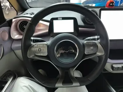 BYD Dolphin 2022, 45900 км, за 54700 CNY - фото 11