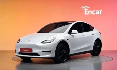 Tesla Model Y · 2024 год