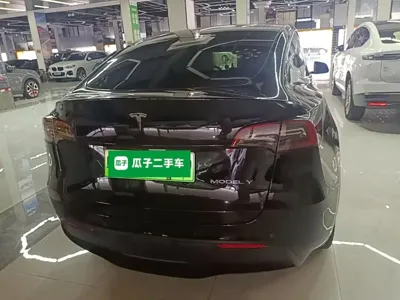 Tesla Model Y 2021, 83600 км, за 146600 CNY - фото 6
