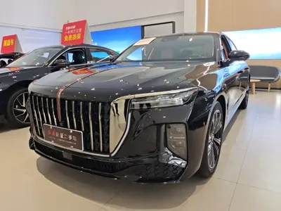 Hongqi Hongqi H9 · 2024 год