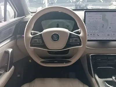 BYD Tang New Energy 2024, 39600 км, за 96900 CNY - фото 11