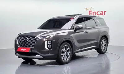 Hyundai Palisade · 2019 год