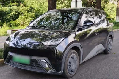 BYD Seagull · 2024 год