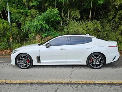 Kia Stinger 2021, 76655 км, за 28300000 KRW - фото 3