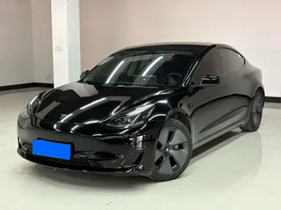 Tesla Model 3 · 2023 год