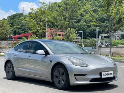 Tesla Model 3 · 2021 год