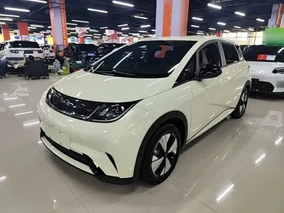 BYD Dolphin · 2023 год