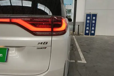 GAC Trumpchi M8 2023, 44500 км, за 145558.12 CNY - фото 9