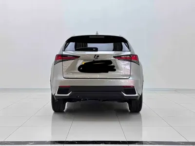 Lexus NX 2021, 72500 км, за 161900 CNY