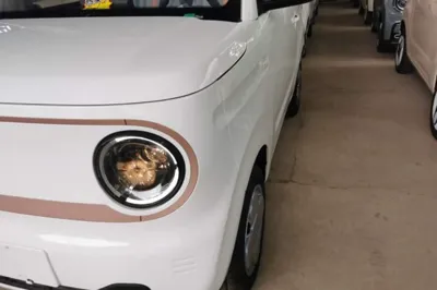 Geely Galaxy Panda 2024, 100 км, за 49679.56 CNY - фото 8