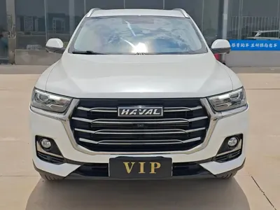 Haval H6 2023, 80000 км, за 53000 CNY