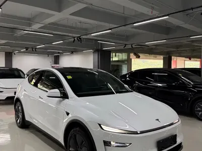 Tesla Model Y 2026, 100 км, за 243800 CNY