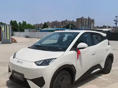 BYD Seagull · 2026 год