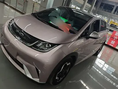 BYD Dolphin · 2022 год