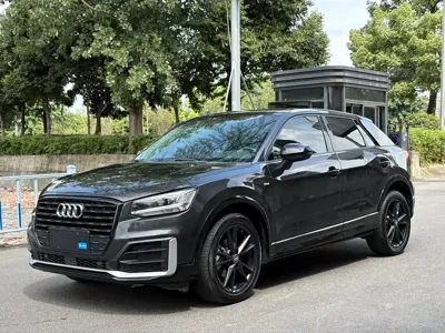 Audi Q2L · 2020 год