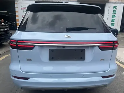 Li Auto Li ONE 2021, 42000 км, за 92800 CNY - фото 17