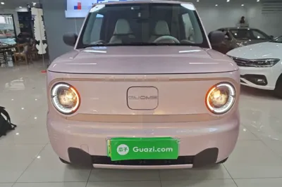 Geely Galaxy Panda 2024, 4800 км, за 45579.86 CNY