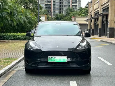 Tesla Model Y · 2021 год