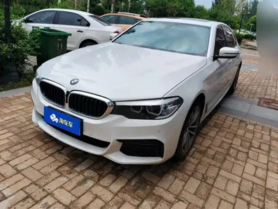 BMW 5 Series · 2019 год