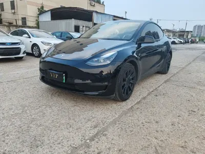 Tesla Model Y · 2021 год