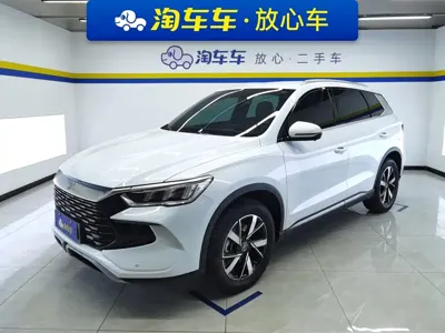 BYD Pro New Energy · 2024 год