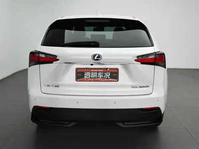 Lexus NX 2016, 142400 км, за 79800 CNY - фото 4
