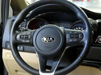 Kia Canival 2019, 58322 км, за 25000000 KRW - фото 8