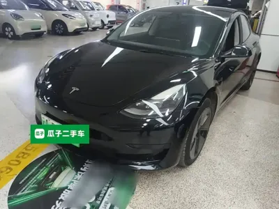 Tesla Model 3 · 2021 год