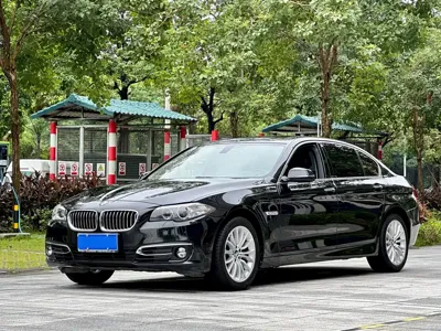 BMW 5 Series · 2015 год