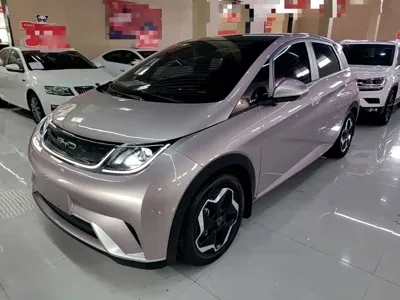 BYD Dolphin 2023, 53400 км, за 59100 CNY