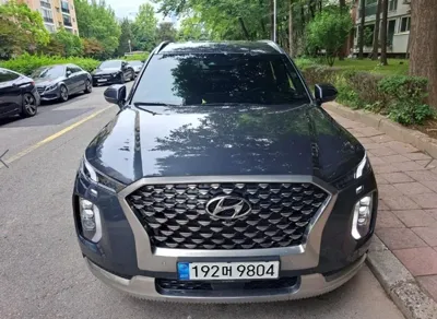 Hyundai Palisade · 2022 год