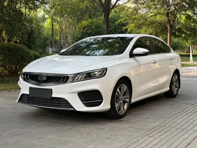 Geely Binrui · 2019 год