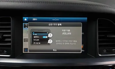 Hyundai Aslan 2017, 192202 км, за 5200000 KRW - фото 16